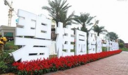 碧桂园爆料最新事件,揭秘背后真相与影响